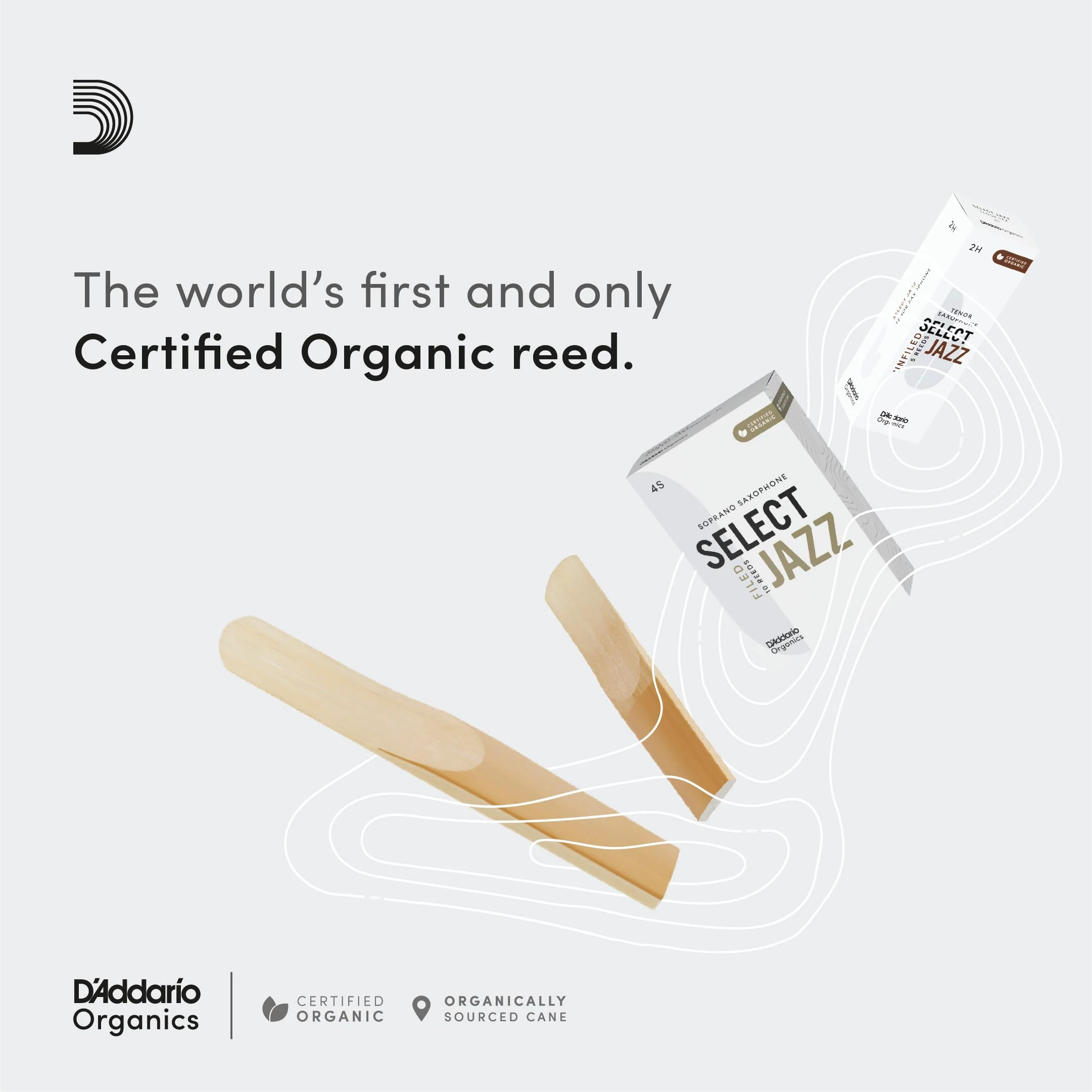 D’Addario Woodwinds - Organic Select Jazz Alto Saxophone Reeds - Alto Sax Reeds - Individually Sealed - Filed, Medium, Strength 2, 3-Pack - Image 3